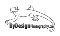 By Design Photography